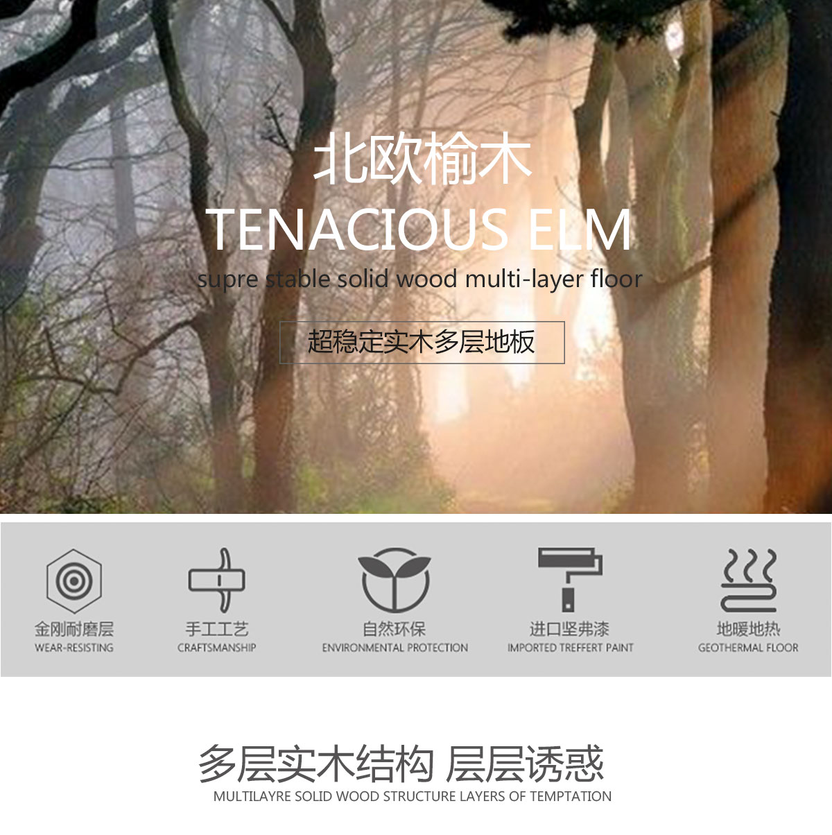 FG2012榆木（千古楓情）產(chǎn)品特點(diǎn)_01.jpg