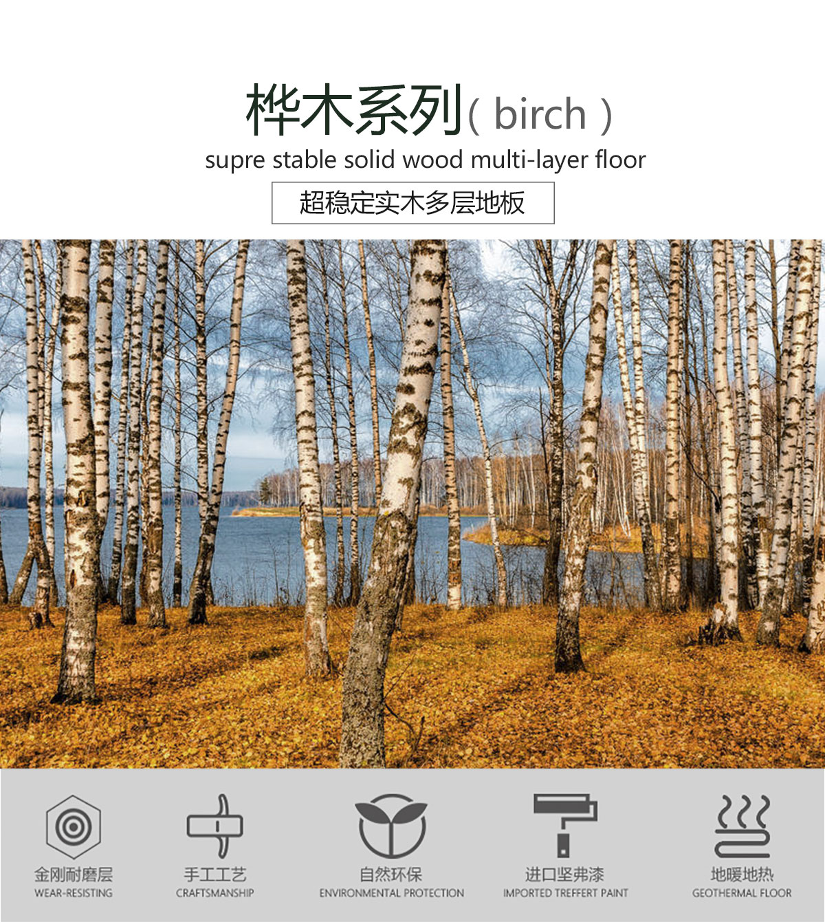 FG2022樺木（盧浮秋韻）產品特點_01.jpg