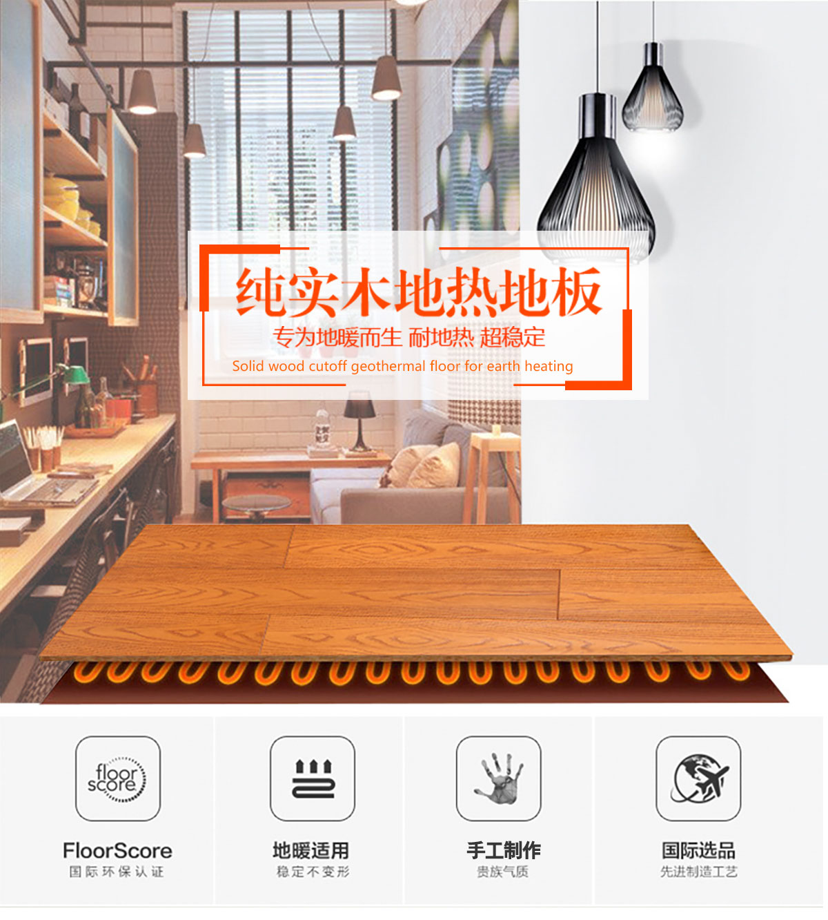 圓盤豆001產(chǎn)品特點(diǎn)_01.jpg