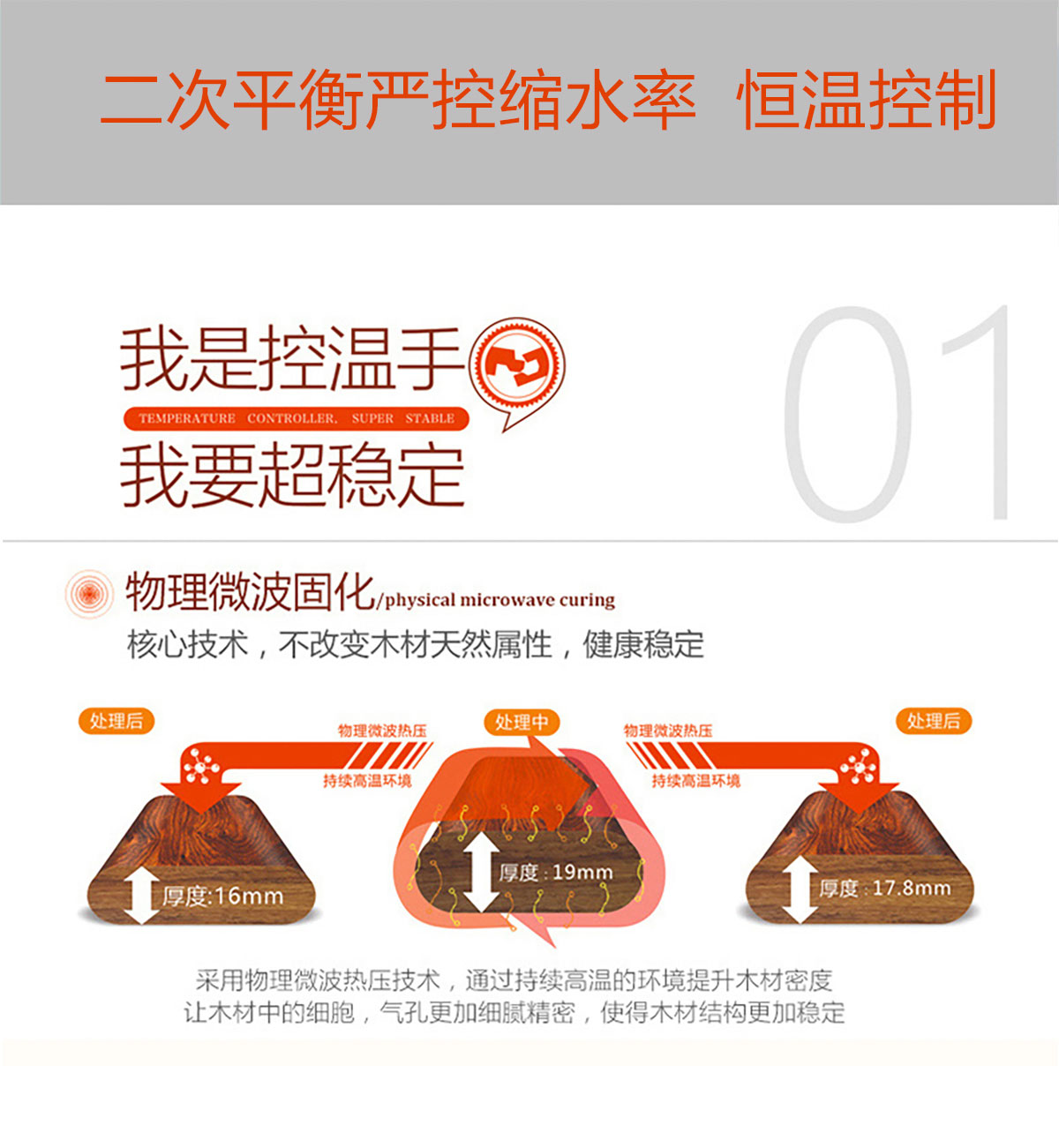 圓盤豆001產(chǎn)品特點(diǎn)_02.jpg