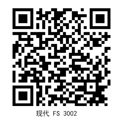 現代FS3002.jpg