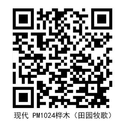 現代PM1024.jpg