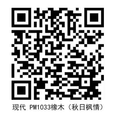 現代PM1033.jpg