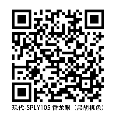 番龍眼黑胡桃色.jpg