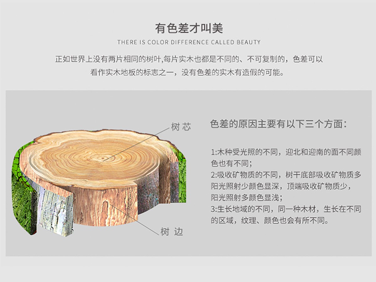 SPLY203（紅柚木色）_05.jpg